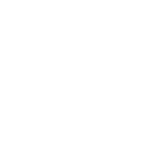 Arena Grill